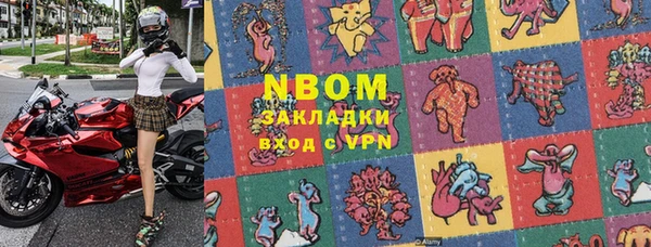 шишки Абаза