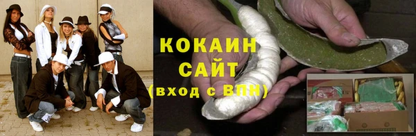 шишки Абаза