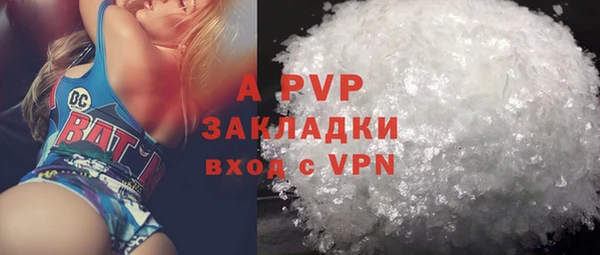 шишки Абаза
