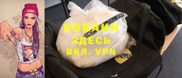 шишки Абаза