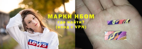 шишки Абаза