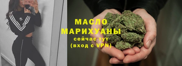 шишки Абаза