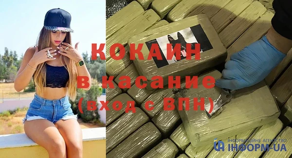 шишки Абаза