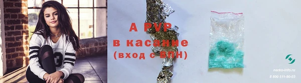 шишки Абаза