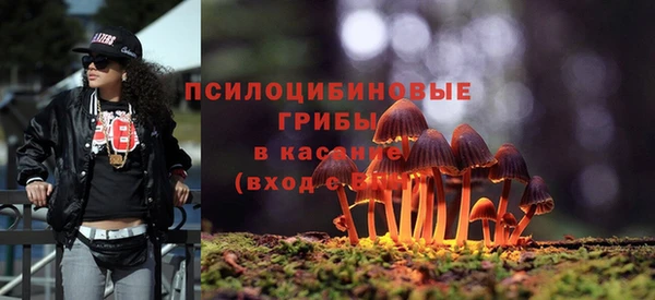шишки Абаза