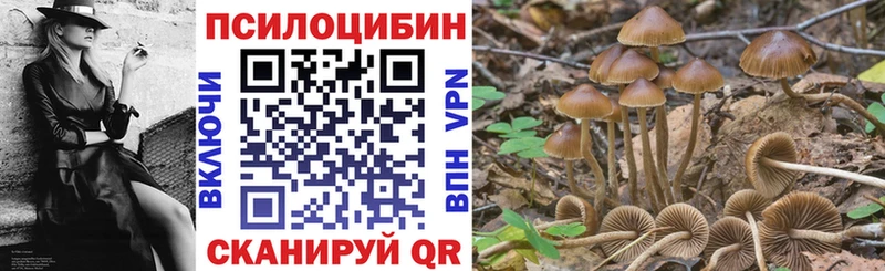мега ONION  Ивангород  Галлюциногенные грибы Psilocybe 